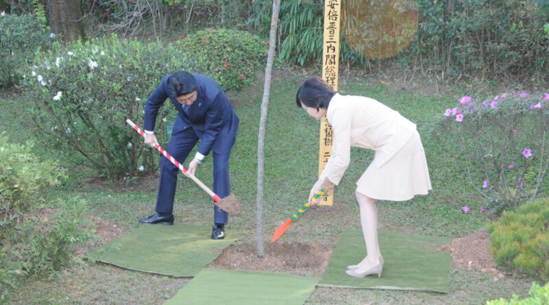 No Pavilhão Japonês, árvore plantada por Shinzo Abe simboliza laços entre países